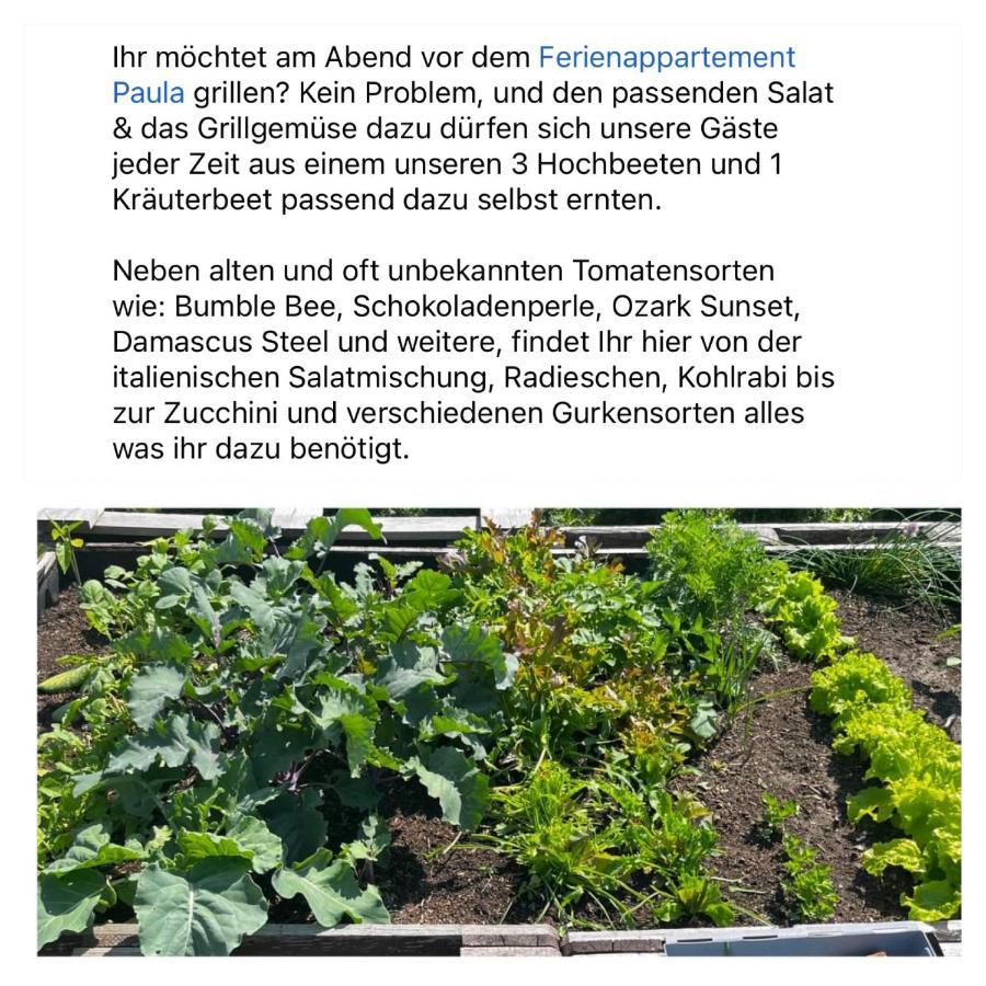 Ferienappartement Paula Im Lausitzer Seenland ゼンフテンベルク エクステリア 写真